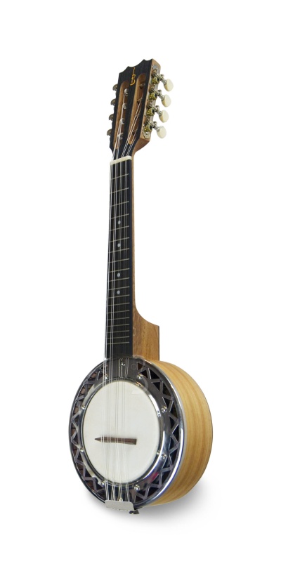 APC  BANJO BJPT100