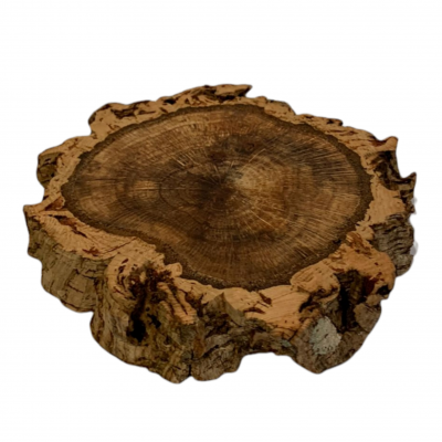 Base Madeira | Grande