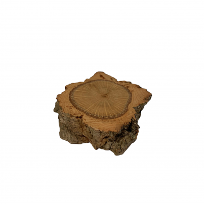 BASE MADEIRA | Pequena