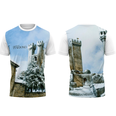 TS18#12#01 - Castelo de Penedono