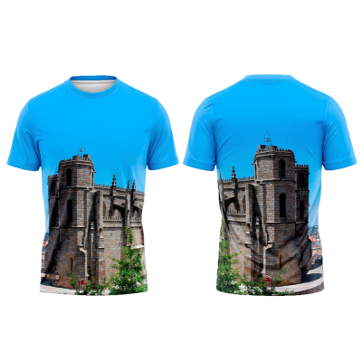 TS09#07#01 - Sé Catedral da Guarda