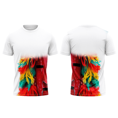 TS04#05#01 - Rota dos Caretos