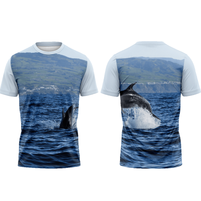 TS20#16#03 - Baleias e golfinhos