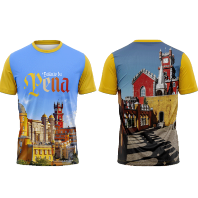 TS11#13#01 - Palácio da Pena