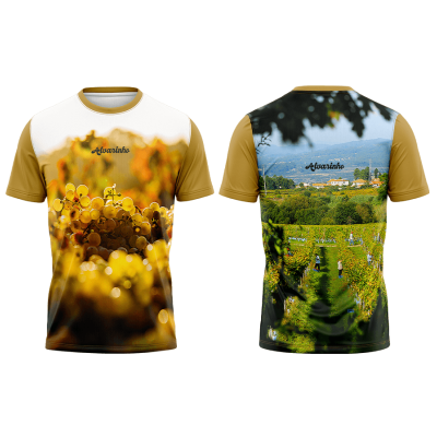 TS16#03#03 - Alvarinho