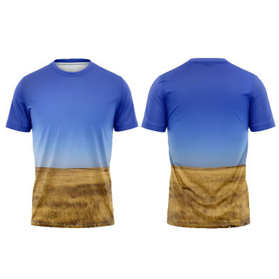 TS02#05#04 - Campos de Beja