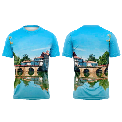 TS17#03#02 - Ponte de Trajano