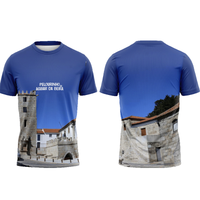 TS09#01#02 - Pelourinho de Aguiar da Beira