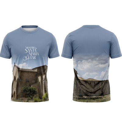 TS09#04#03 - Mosteiro de Santa Maria de Aguiar