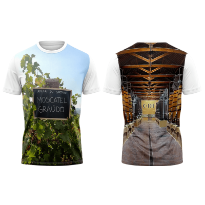 TS14#06#01 - Quintas vinícolas