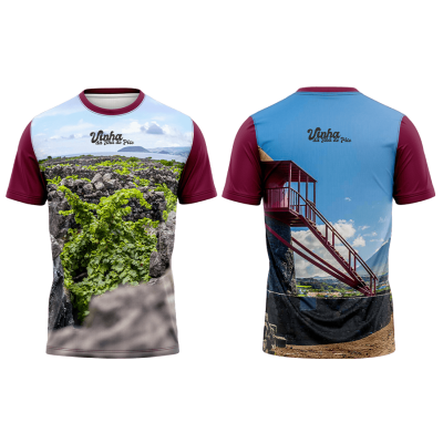 TS20#08#02 - Paisagem da Cultura da Vinha da Ilha do Pico