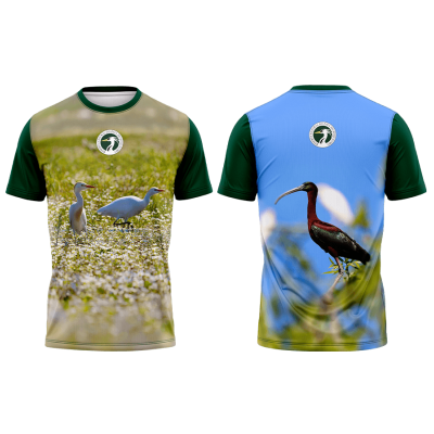 TS14#07#02 - Paúl do Boquilobo