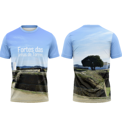 TS11#14#01 - Fortes das linhas de Torres