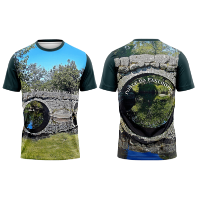 TS18#22#02 - Ponte Romana de Panchorra