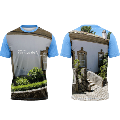 TS09#06#01 - Solar dos Condes de Vinhó e Almedina