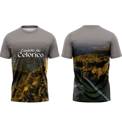 TS09#03#02 - Castelo de Celorico