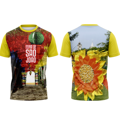 TS12#02#02 - Feira de São João