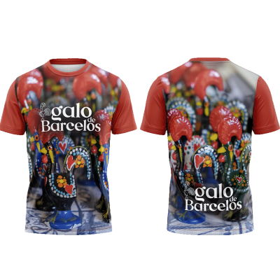 TS03#02#01 - Galo de Barcelos