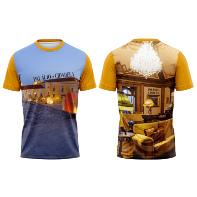 TS11#06#03 - Palácio da Cidadela