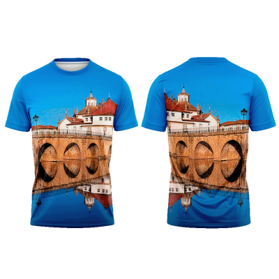 TS17#03#01 - Ponte de Trajano