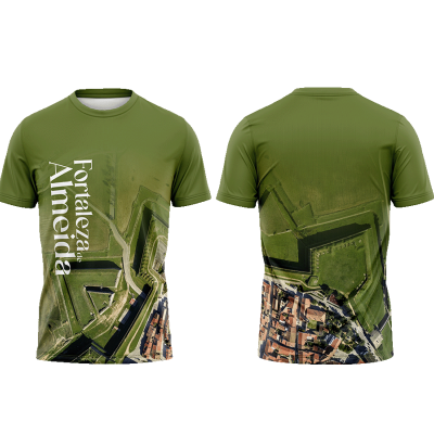 TS09#02#01 - Fortaleza de Almeida