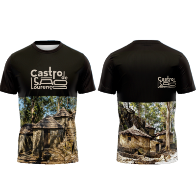 TS03#06#01 - Castro de São Lourenço