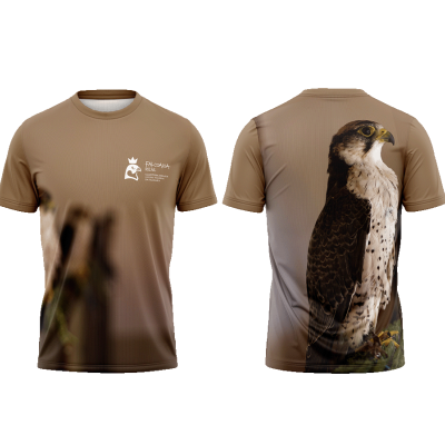 TS14#16#01 - Falcoaria Real