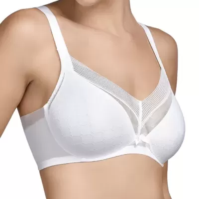 Selene Roxana copa C