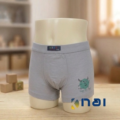Boxer  Menino Algodão/Lycra