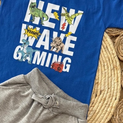 Conjunto Dinossauros