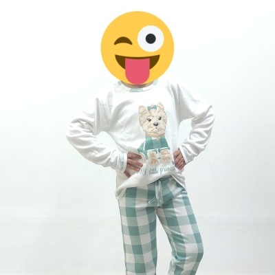 Pijama 100% Algodão Cardado - vários desenhos