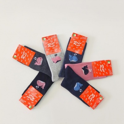 Meia Menina Algodão Desenho (6 pares)