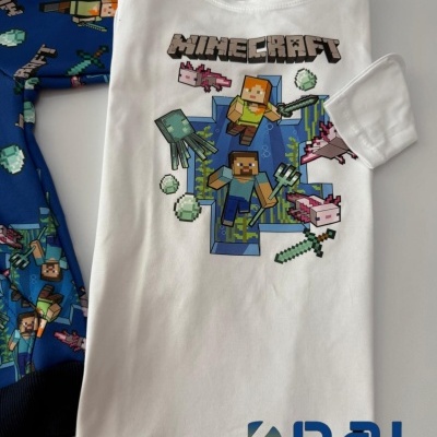 FatoTreino Minecraft