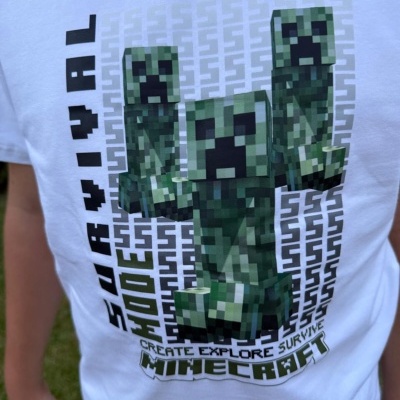 Conjunto Calção Minecraft