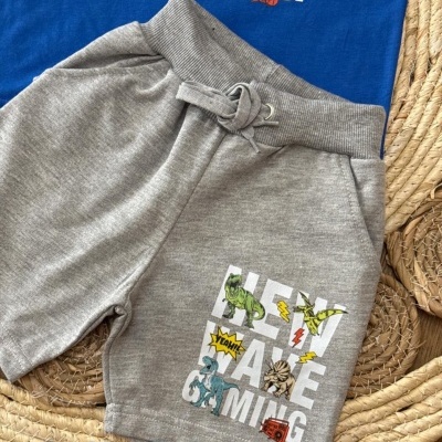 Conjunto Dinossauros