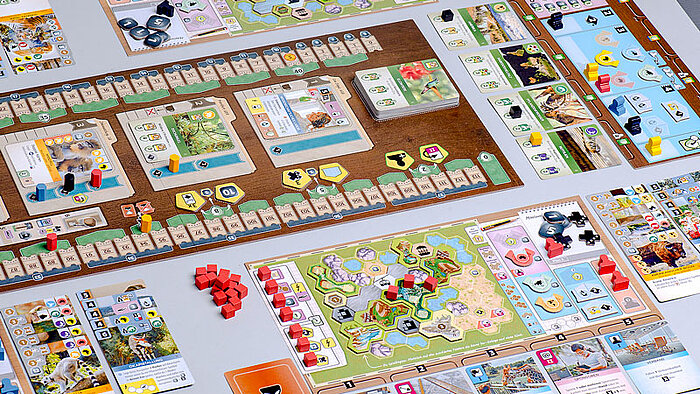 Ark Nova (EN) Ark Nova (EN)