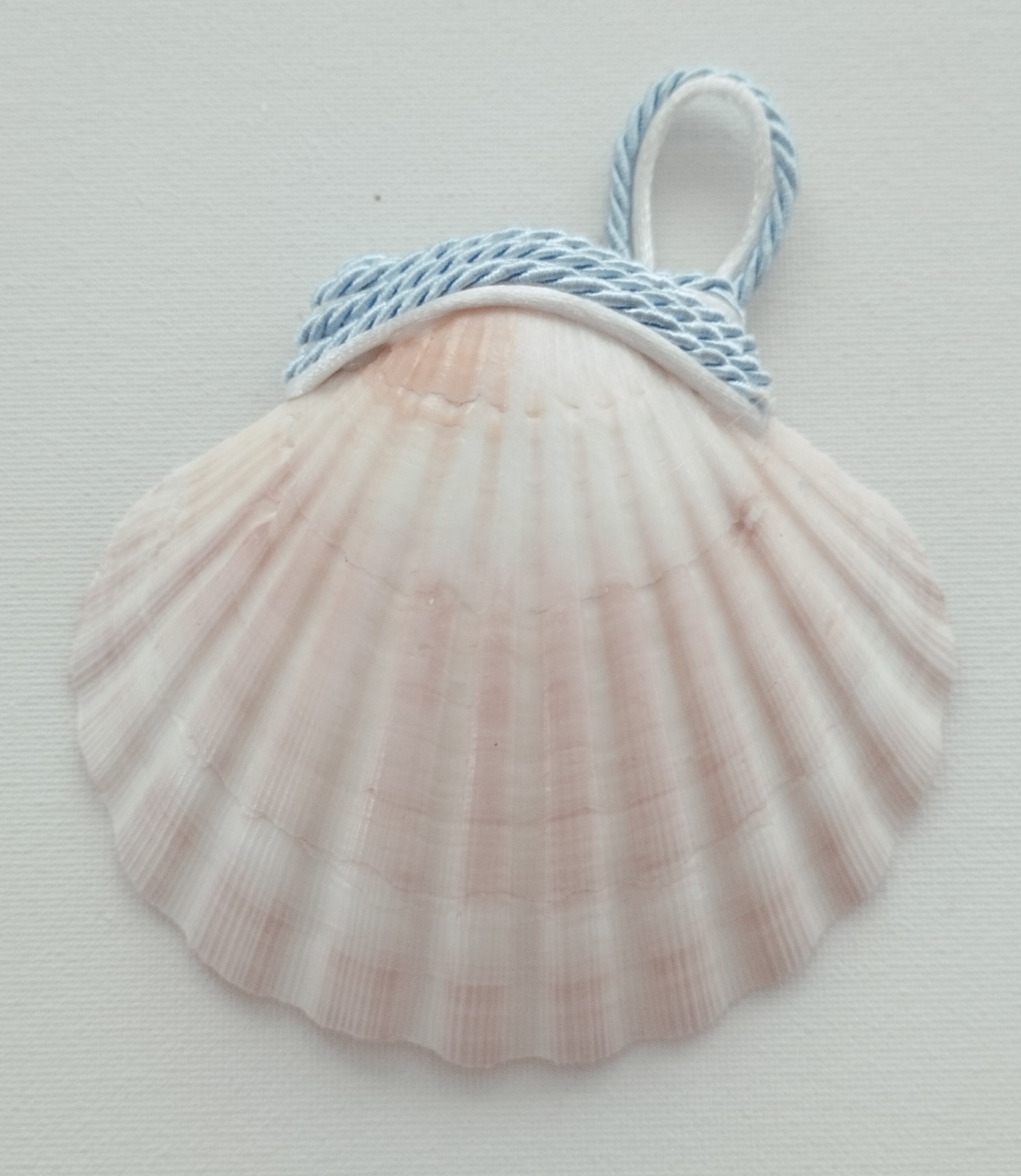 Concha Batismo Azul bebê Concha Batismo Azul bebê