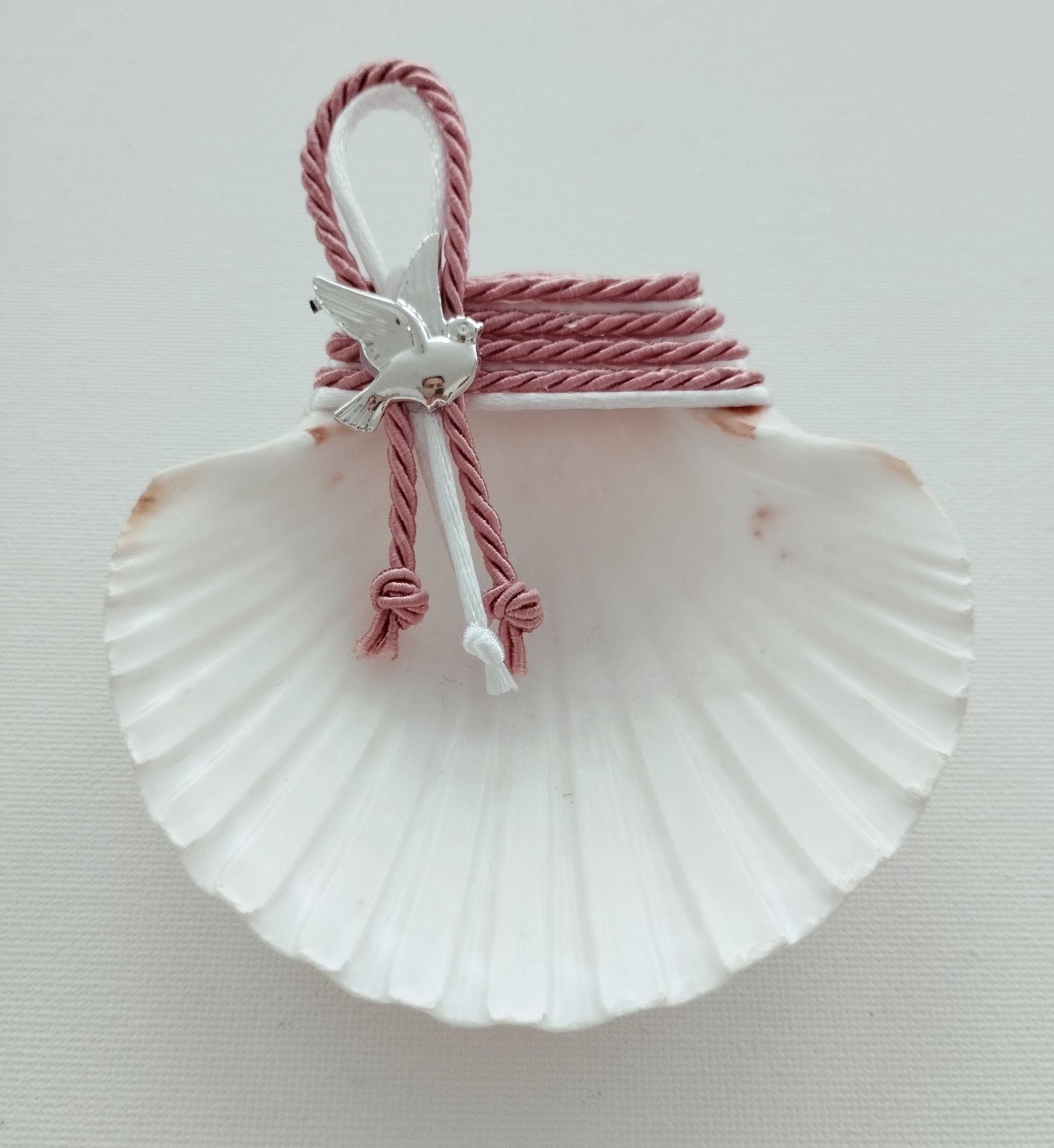 Concha Batismo Rosa Velho Concha Batismo Rosa Velho