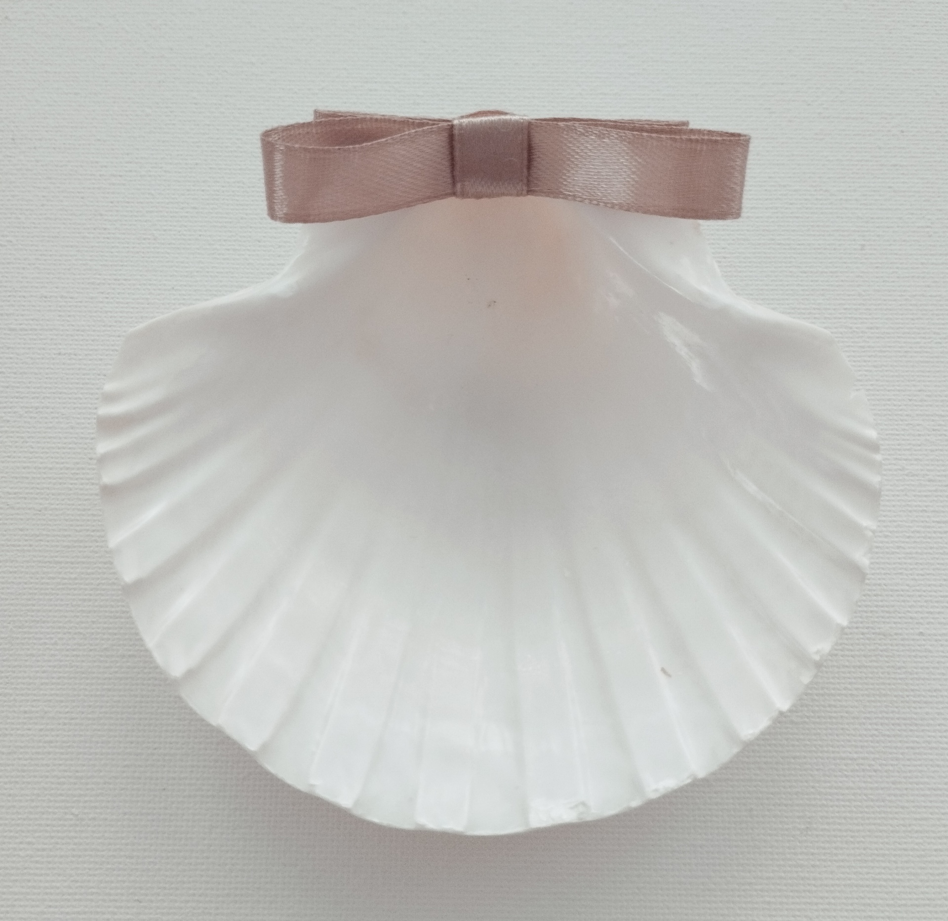 Concha Batismo Areia Concha Batismo Areia