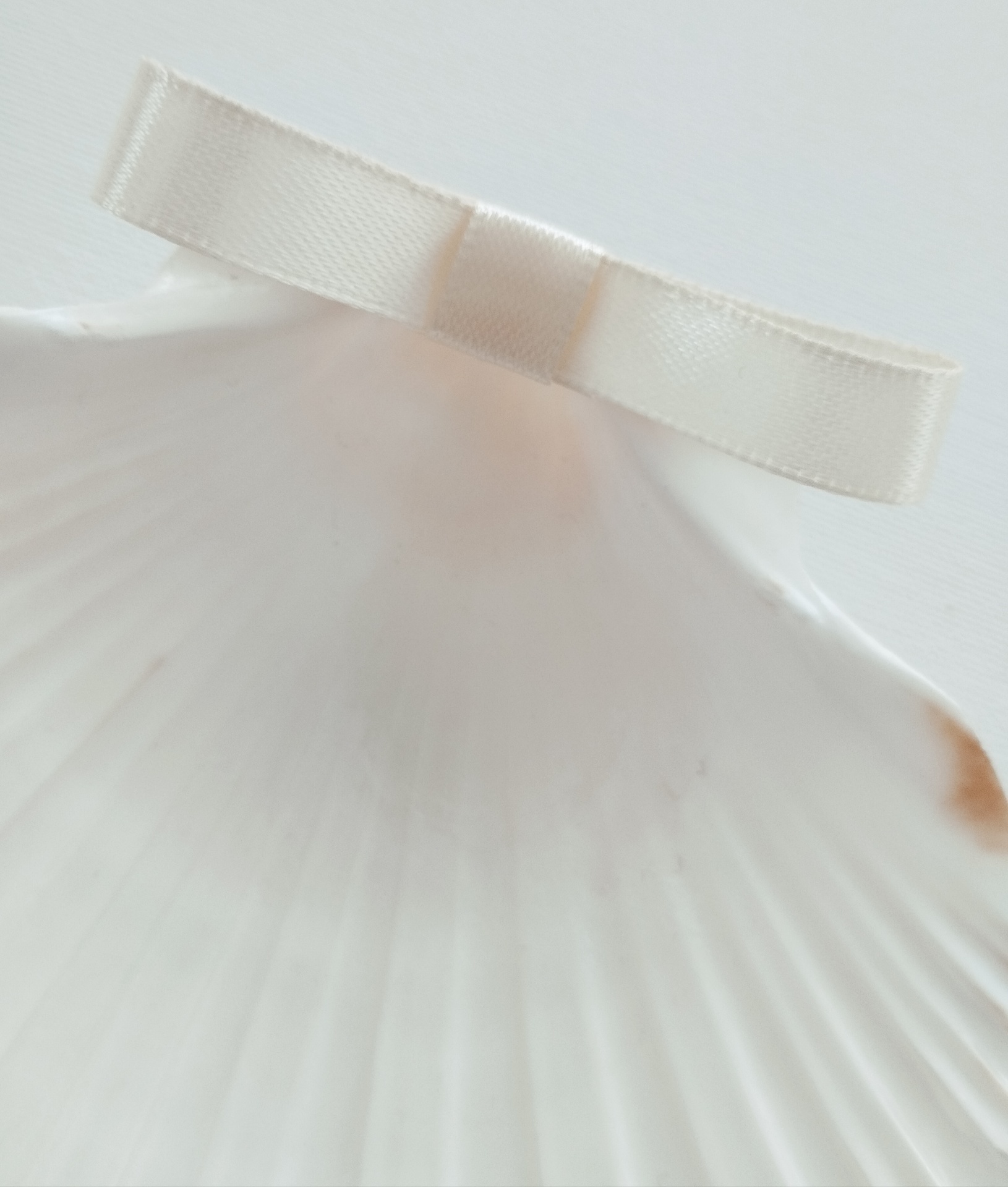 Concha Batismo Pérola Concha Batismo Pérola