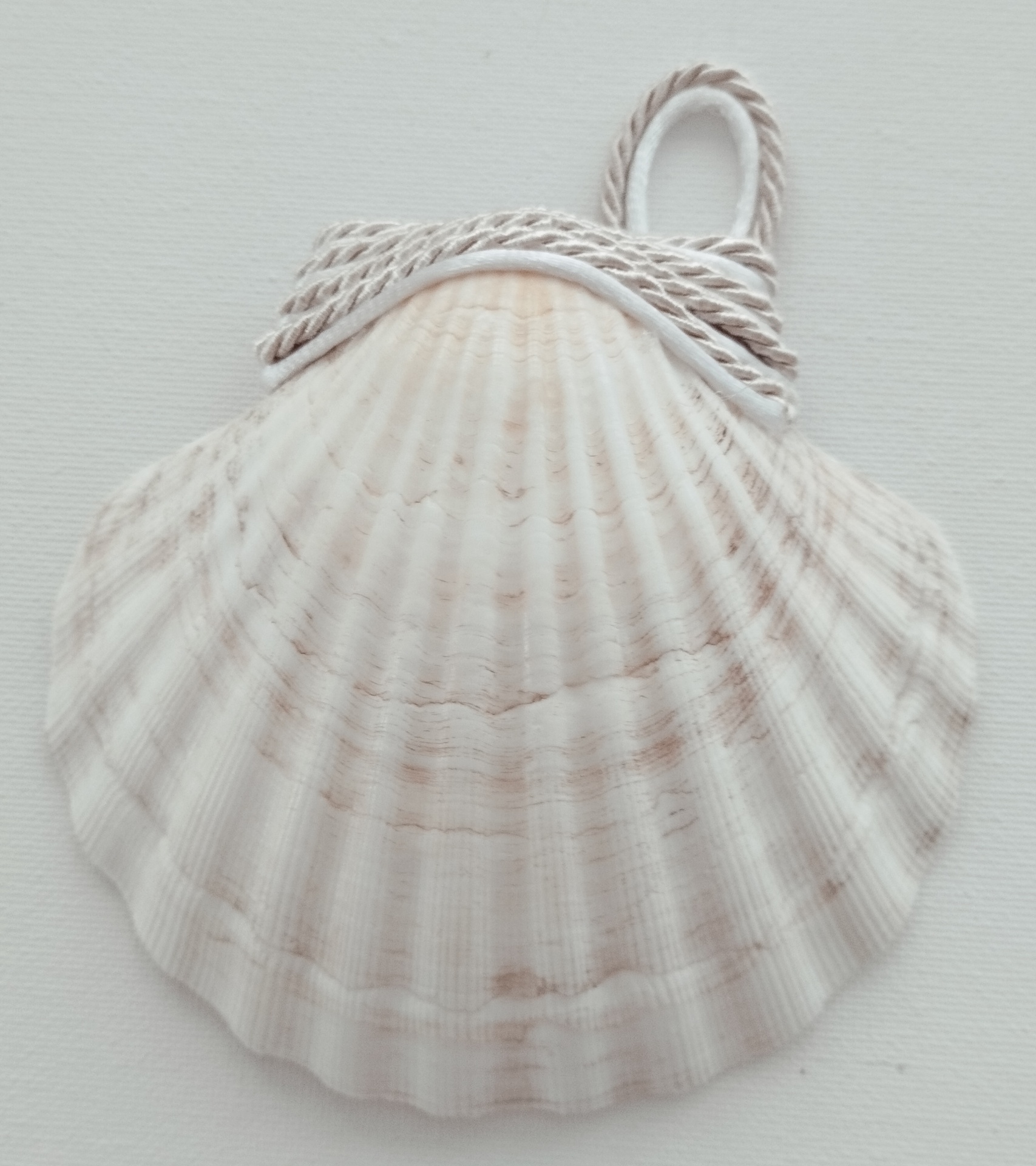 Concha Batismo Pérola Concha Batismo Pérola