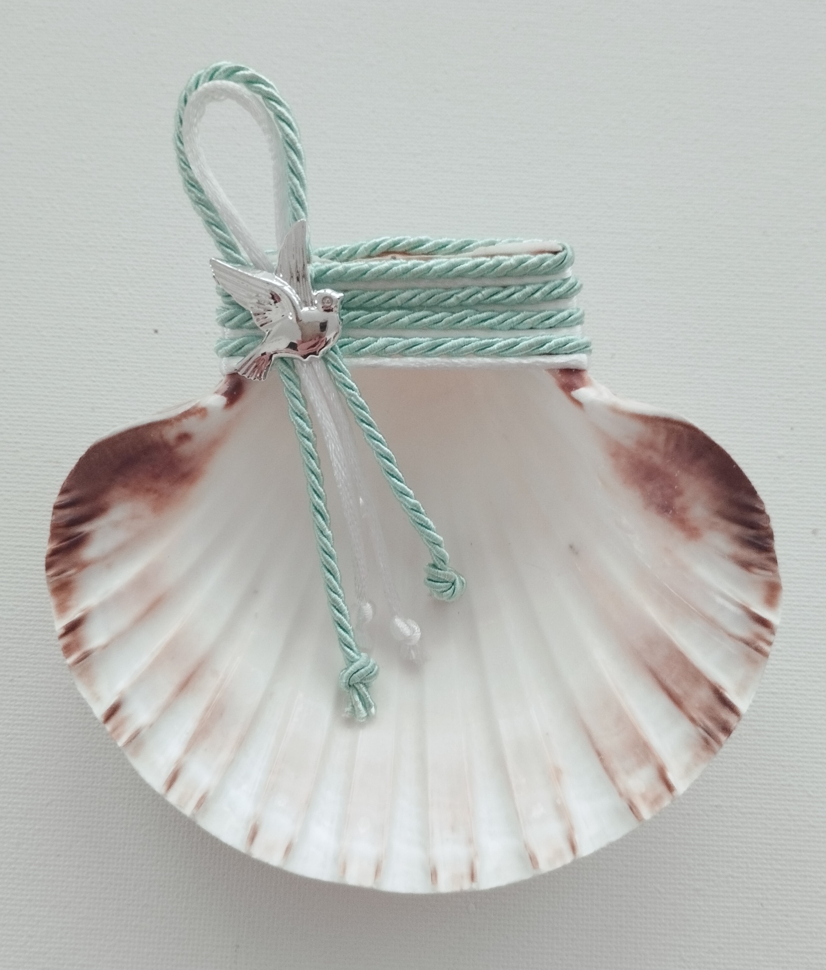 Concha Batismo Verde Água Concha Batismo Verde Água