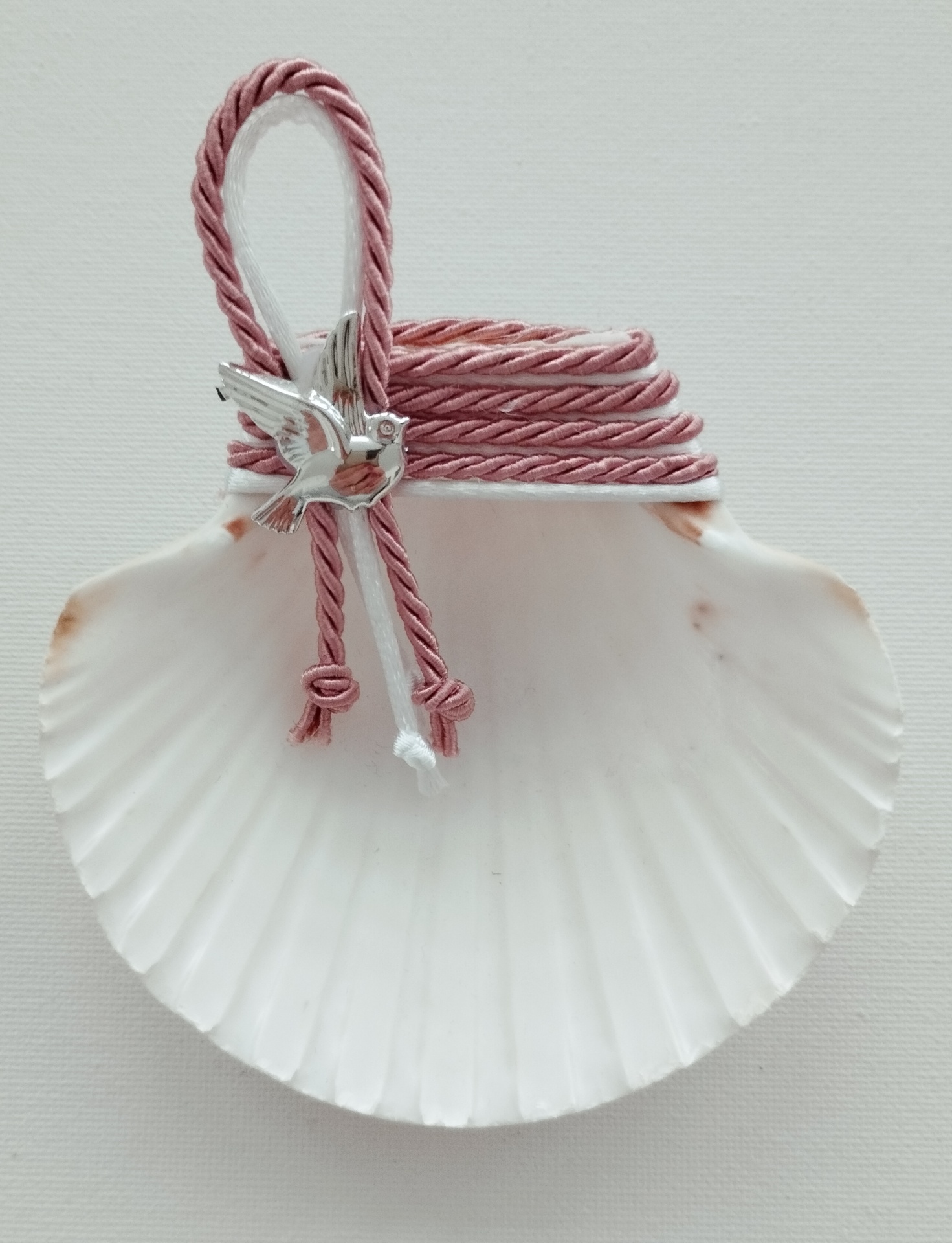 Concha Batismo Rosa Velho Concha Batismo Rosa Velho