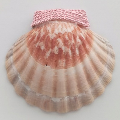 Concha Batismo Rosa Bebé