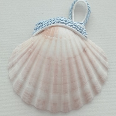 Concha Batismo Azul bebê