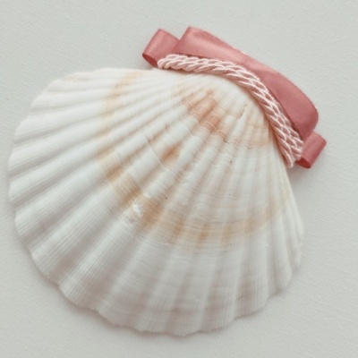 Concha Batismo Rosa Velho