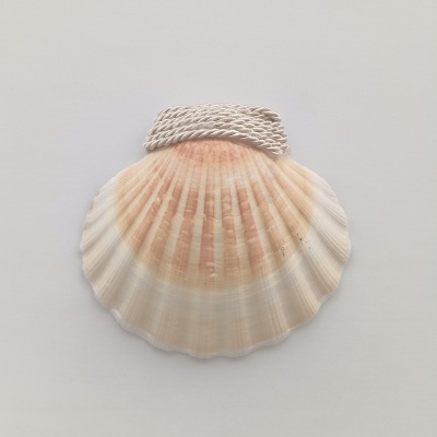 Concha Batismo Pérola