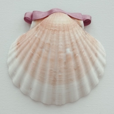 Concha Batismo Rosa Velho