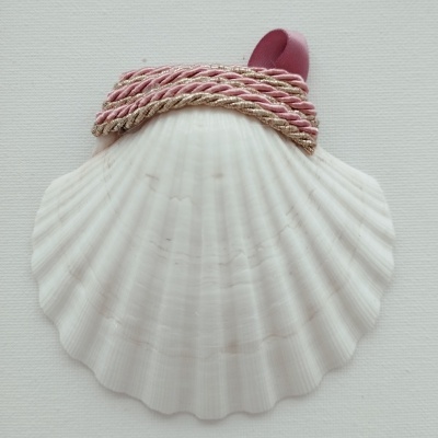 Concha Batismo Rosa Velho