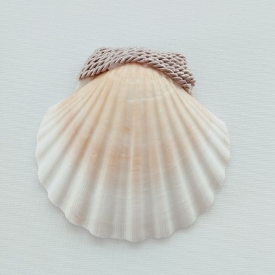 Concha Batismo Areia